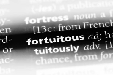 tesadüfi kelime sözlüğe. tesadüfi kavramı