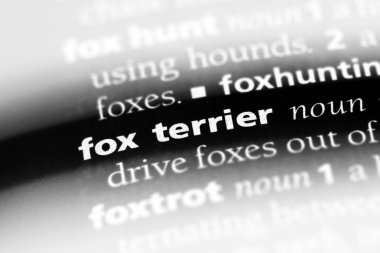 tilki korkunç Word'de bir sözlük. tilki korkunç kavramı