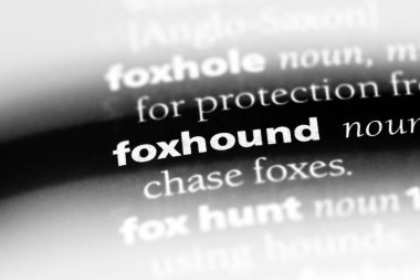 Foxhound Word'de bir sözlük. Foxhound kavramı