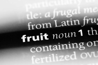 meyve Word'de bir sözlük. meyve kavramı