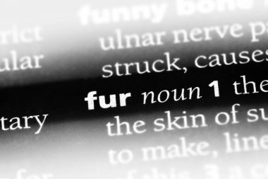 kürk Word'de bir sözlük. kürk kavramı