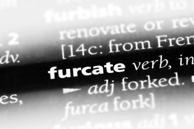 bir sözlüğü'ndeki sözcüğü furcate. furcate kavramı