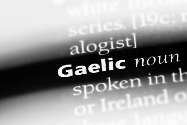 bir sözlüğü'ndeki GAL sözcüğü. Gal kavramı