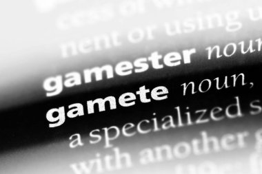 bir sözlüğü'ndeki gamet sözcüğü. gamet kavramı