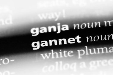 Gannet Word'de bir sözlük. Gannet kavramı