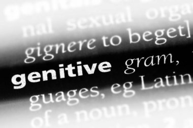 genitive tek kelimeyle bir sözlük. genitive kavramı