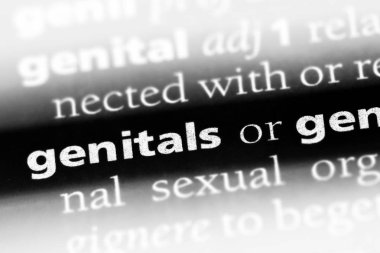 genital Word'de bir sözlük. genital kavramı