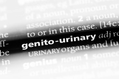 bir sözlüğü'ndeki genito-idrar sözcüğü. genito-idrar kavramı