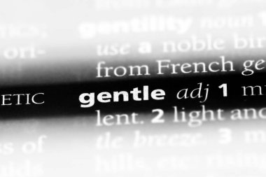 nazik kelime sözlüğe. nazik kavramı