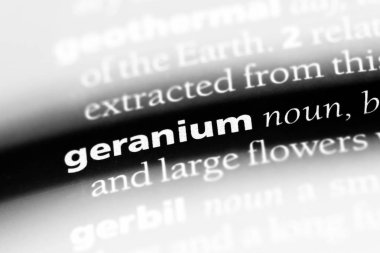 Sardunya tek kelimeyle bir sözlük. Sardunya kavramı