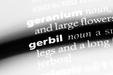 fare Word'de bir sözlük. fare kavramı