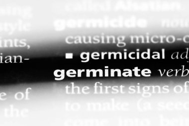 bir sözlüğü'ndeki sözcüğü çimlenme. kavram çimlenme