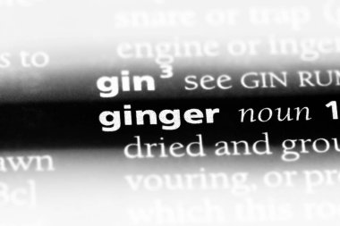 bir sözlüğü'ndeki sözcüğü Kızıl. zencefil kavramı