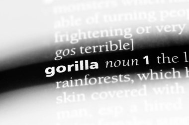 goril Word'de bir sözlük. goril kavramı