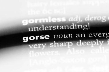 bir sözlüğü'ndeki gorse sözcüğü. gorse kavramı