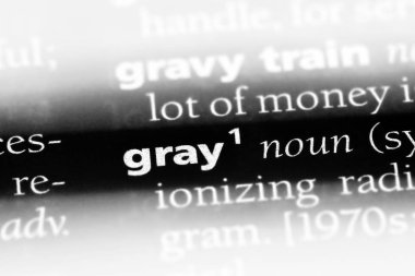 gri tek kelimeyle bir sözlük. gri kavramı