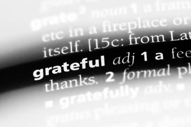 bir sözlüğü'ndeki minnettar sözcüğü. minnettar kavramı