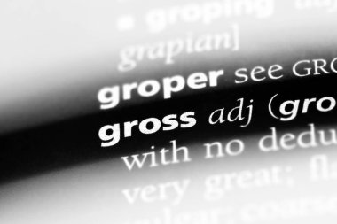 bir sözlüğü'ndeki brüt sözcüğü. Brüt kavramı