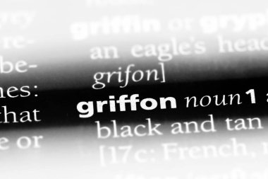 Griffon Word'de bir sözlük. Griffon kavramı