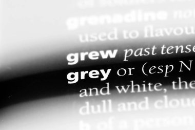 gri tek kelimeyle bir sözlük. gri kavramı