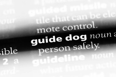 rehber köpek Word'de bir sözlük. rehber köpek kavramı
