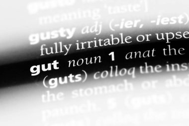 Gut Word'de bir sözlük. Gut kavramı