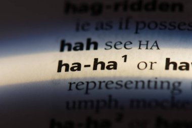 Sözlükte öyle bir kelime var ki. Ha ha konsept.