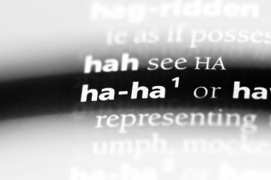 Sözlükte öyle bir kelime var ki. Ha ha konsept.