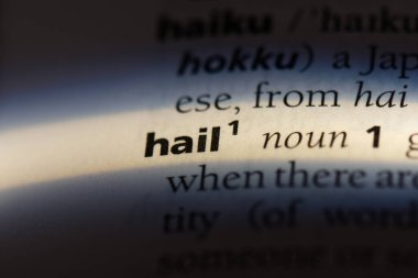 Word'de bir sözlük dolu. dolu kavramı.