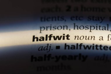 aptal bir sözlük tek kelimeyle. aptal kavramı.