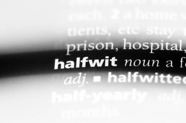 aptal bir sözlük tek kelimeyle. aptal kavramı.