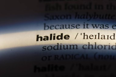 halide Word'de bir sözlük. halide kavramı.