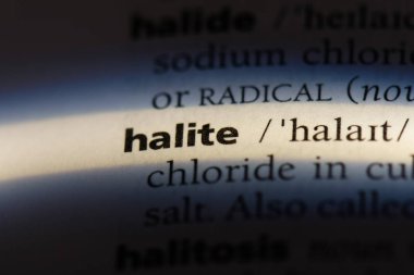 bir sözlüğü'ndeki Halite sözcüğü. Halite kavramı.