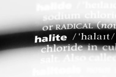 bir sözlüğü'ndeki Halite sözcüğü. Halite kavramı.