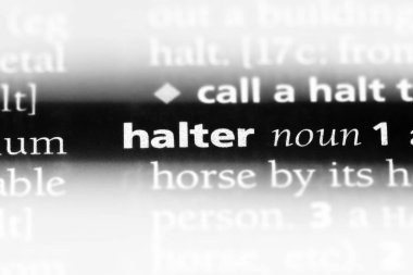 bir sözlüğü'ndeki sözcüğü yular. yular kavramı.