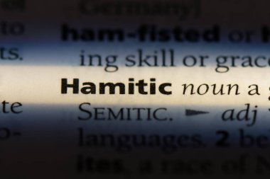 bir sözlüğü'ndeki Hamitik sözcüğü. Hamitik kavramı.