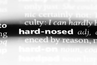 zor burun Word'de bir sözlük. zor burun kavramı.