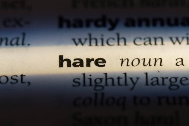 tavşan Word'de bir sözlük. tavşan kavramı.