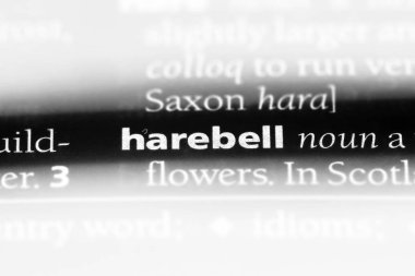 harebell sözcük sözlüğe. harebell kavramı.