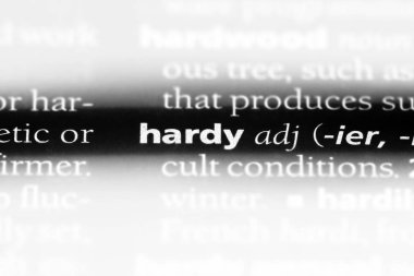 bir sözlüğü'ndeki Hardy sözcüğü. Hardy kavramı.