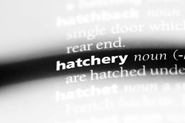 Kuluçka Çıkım Word'de bir sözlük. Kuluçka Çıkım kavramı.