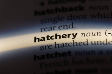 Kuluçka Çıkım Word'de bir sözlük. Kuluçka Çıkım kavramı.