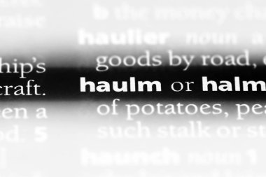 haulm sözcük sözlüğe. haulm kavramı.