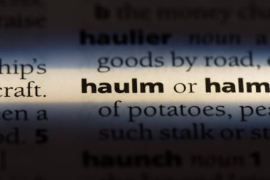 haulm sözcük sözlüğe. haulm kavramı.