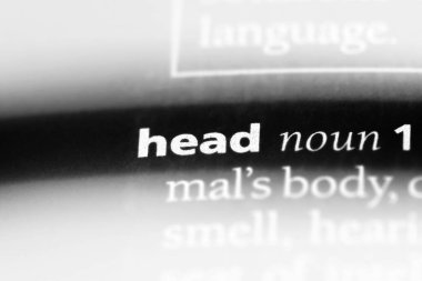 bir sözlüğü'ndeki kafa sözcüğü. baş kavramı.