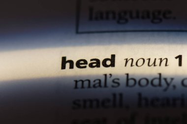 bir sözlüğü'ndeki kafa sözcüğü. baş kavramı.