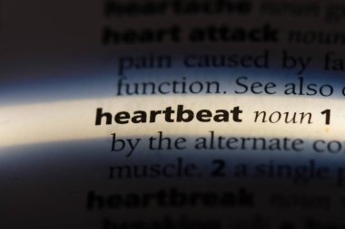kalp atışı Word'de bir sözlük. kalp atışı kavramı.