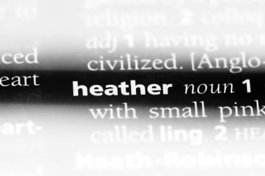Heather tek kelimeyle bir sözlük. Heather kavramı.