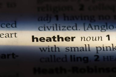 Heather tek kelimeyle bir sözlük. Heather kavramı.