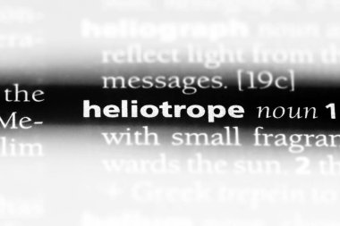 Kediotu Word'de bir sözlük. Kediotu kavramı.